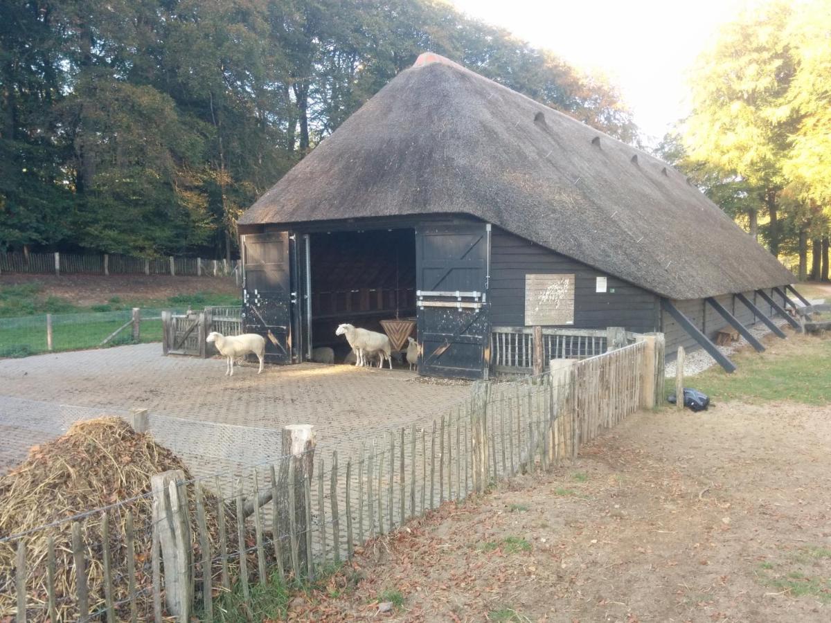 Chalet Hoenderloo Beuk エクステリア 写真
